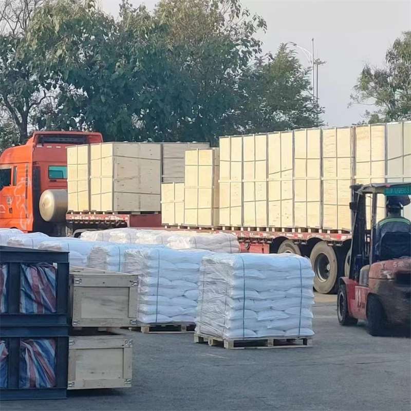 大洼区稷山县物流：多元服务与运输线路探秘