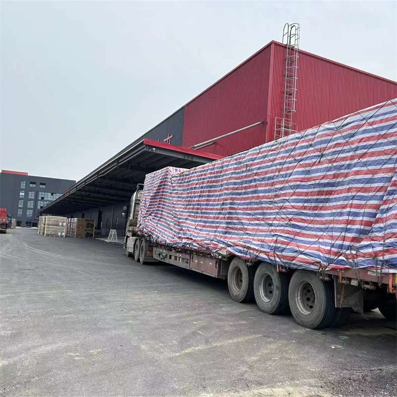 大洼区渝中区物流：多元服务与运输线路探秘