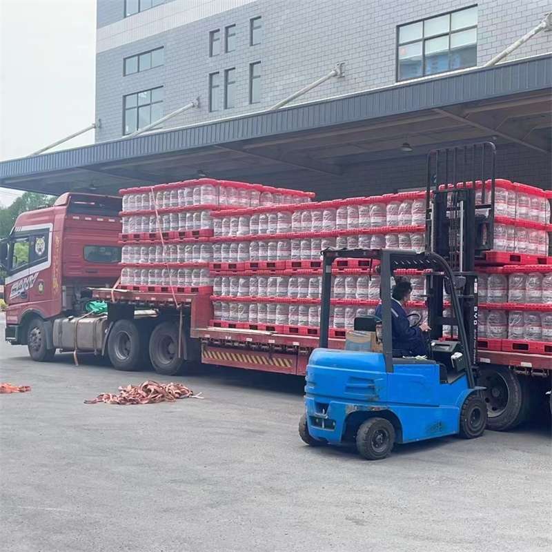 大洼区探秘玉屏县多元物流服务与运输线路